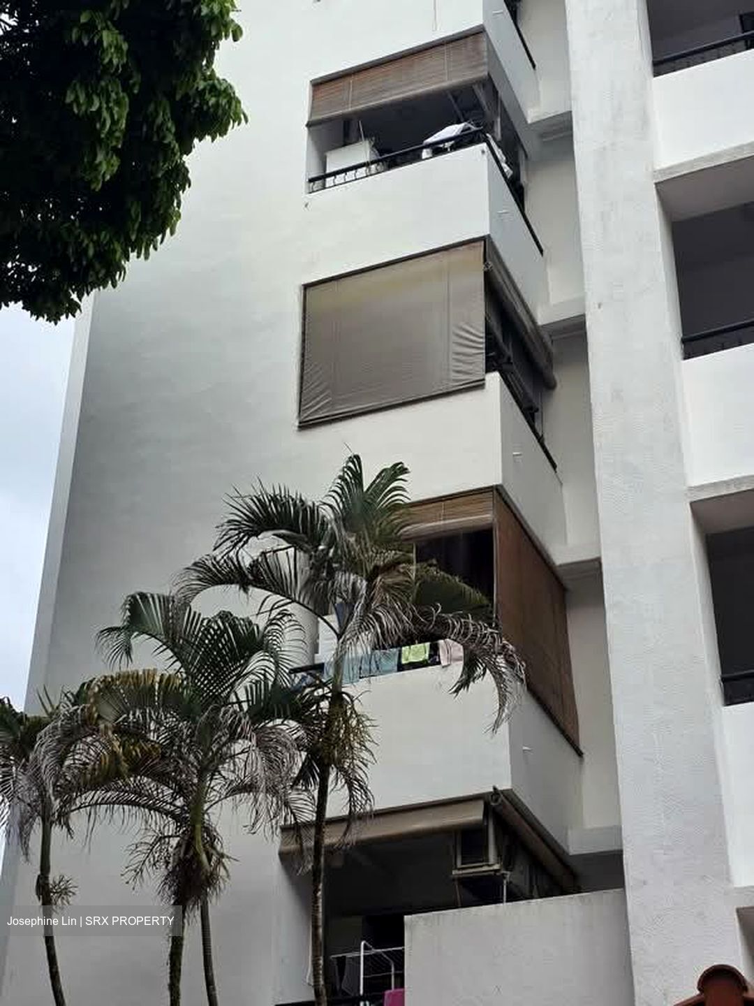 Tanglin Park (D10), Condominium #561305901